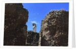 The roman forum. by Anonymous