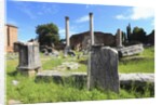 The roman forum. by Anonymous
