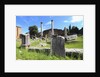 The roman forum. by Anonymous