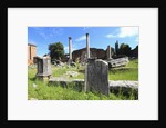 The roman forum. by Anonymous