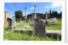 The roman forum. by Anonymous