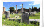 The roman forum. by Anonymous