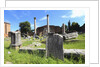 The roman forum. by Anonymous