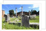 The roman forum. by Anonymous