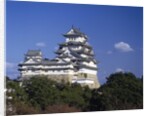 Himeji Castle, Hyogo, Honshu, Japan by Anonymous