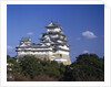 Himeji Castle, Hyogo, Honshu, Japan by Anonymous