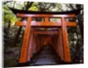 Torii, Fushimi Inari-taisha Shrine , Kyoto, Japan by Anonymous