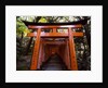 Torii, Fushimi Inari-taisha Shrine , Kyoto, Japan by Anonymous