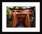 Torii, Fushimi Inari-taisha Shrine , Kyoto, Japan by Anonymous