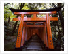 Torii, Fushimi Inari-taisha Shrine , Kyoto, Japan by Anonymous