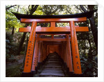 Torii, Fushimi Inari-taisha Shrine , Kyoto, Japan by Anonymous