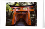 Torii, Fushimi Inari-taisha Shrine , Kyoto, Japan by Anonymous