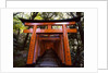 Torii, Fushimi Inari-taisha Shrine , Kyoto, Japan by Anonymous