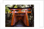 Torii, Fushimi Inari-taisha Shrine , Kyoto, Japan by Anonymous