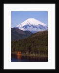 Lake Ashi , Mount Fuji, Japan by Anonymous