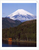 Lake Ashi , Mount Fuji, Japan by Anonymous