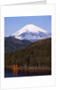 Lake Ashi , Mount Fuji, Japan by Anonymous