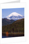 Lake Ashi , Mount Fuji, Japan by Anonymous