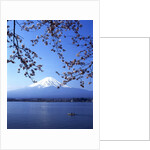 Cherry blossom with Mount Fuji and Lake Kawaguchi in background, Fuji-Hakone-Izu National Park, Japan by Anonymous
