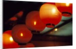 View of japanese lanterns, Dotombor, Osaka, Osaka Prefecture, Kinki Region, Honshu, Japan by Anonymous