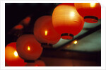 View of japanese lanterns, Dotombor, Osaka, Osaka Prefecture, Kinki Region, Honshu, Japan by Anonymous