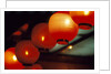 View of japanese lanterns, Dotombor, Osaka, Osaka Prefecture, Kinki Region, Honshu, Japan by Anonymous