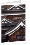 View of Hiroshima Castle, Hiroshima, Hiroshima Prefecture, Chugoku Region, Honshu, Japan by Anonymous