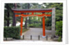 View of Torii Gate in Kenrokuen Garden, Kanazawa, Ishikawa Prefecture, Chubu Region, Honshu, Japan by Anonymous