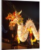 Illuminated Chinese Dragon on New Year's Eve, Hong Kong, China by Anonymous