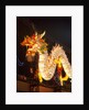 Illuminated Chinese Dragon on New Year's Eve, Hong Kong, China by Anonymous