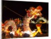 Illuminated Chinese Dragon on New Year's Eve, Hong Kong, China by Anonymous
