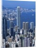 Skyline of Hong Kong seen from Victoria Peak, China by Anonymous