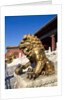 Guardian Lion at Forbidden City on Tiananmen Square, Imperial Palace, Beijing, Dongcheng District, China by Anonymous