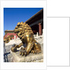 Guardian Lion at Forbidden City on Tiananmen Square, Imperial Palace, Beijing, Dongcheng District, China by Anonymous