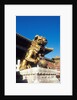 Guardian Lion at Forbidden City on Tiananmen Square, Imperial Palace, Beijing, Dongcheng District, China by Anonymous