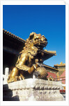 Guardian Lion at Forbidden City on Tiananmen Square, Imperial Palace, Beijing, Dongcheng District, China by Anonymous
