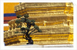 Detail of Wat Phra Kaeo, Bangkok, Thailand by Anonymous
