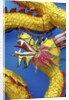 Chinese dragon, Shenzen, China by Anonymous