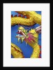Chinese dragon, Shenzen, China by Anonymous