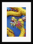 Chinese dragon, Shenzen, China by Anonymous