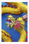 Chinese dragon, Shenzen, China by Anonymous