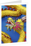 Chinese dragon, Shenzen, China by Anonymous