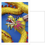 Chinese dragon, Shenzen, China by Anonymous