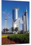 High Rise and TV Tower, Pudong, Shanghai, China by Anonymous