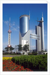 High Rise and TV Tower, Pudong, Shanghai, China by Anonymous