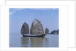 Chinese Junk, South China Sea, China by Anonymous