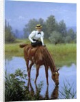 A young woman riding stops for her horse to drink by Anonymous