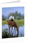A young woman riding stops for her horse to drink by Anonymous