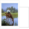 A young woman riding stops for her horse to drink by Anonymous