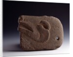 zoomorphic sculpted stone ax representing the head of a deer by Anonymous